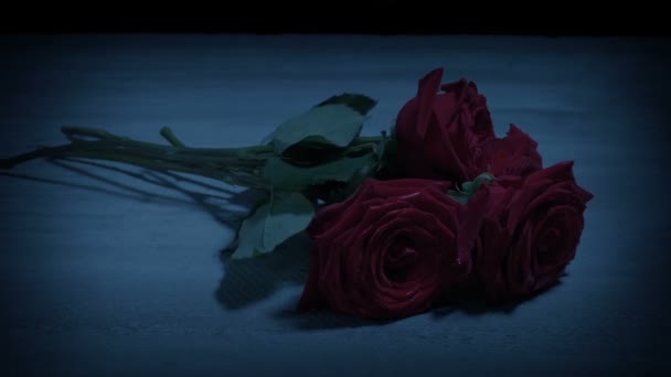 Τριαντάφυλλα Βρίσκονται Στο Έδαφος Βράδυ — Αρχείο Βίντεο