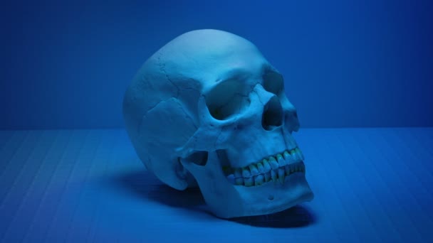 Skulls Lit Lab Modern Ancient — Stockvideo