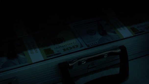 Открываются Закрываются Деньги Раскрытые Портфеле — стоковое видео