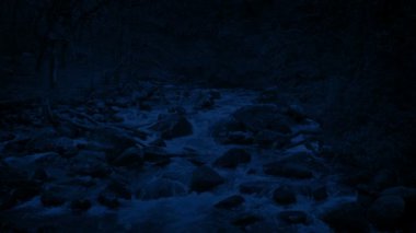 Geceleyin Woodland Nehri 'nin Döngülü Çekimi