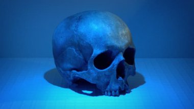 Antik ve Modern Kafatasları Laboratuvarda Çoklu Işıklar