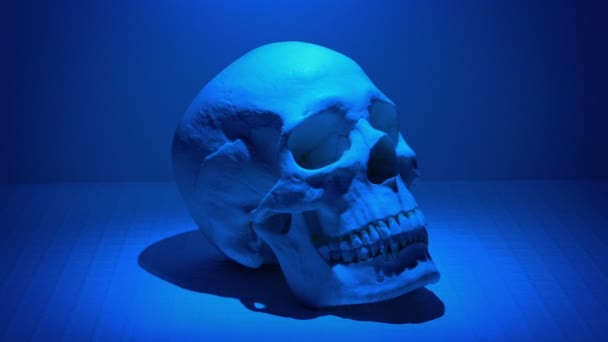 Crâne Humain Allume Dans Laboratoire Plusieurs Lumières — Video