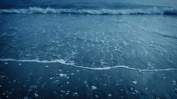 在寒冷的日子里 海浪从海滩上涌来 将人推倒 — 图库视频影像