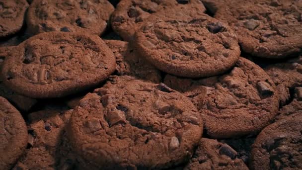 パン屋でのダブルチョコレートチップクッキー — ストック動画