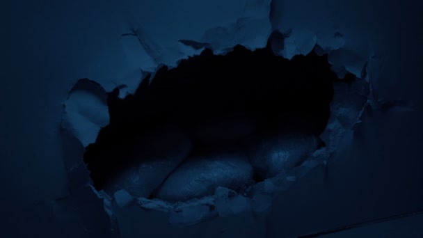 788 Crack kokain Videos, lizenzfreies Stock Crack kokain Footage | DepositPhotos