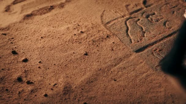 Excavación Del Detalle Egipcio Del Edificio — Vídeos de Stock