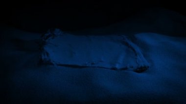 Eskiler 'in kitabı geceleyin mağarada toplanır.