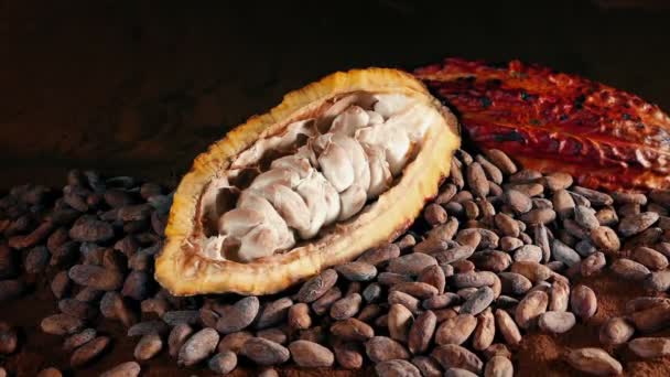 Kakaové Čokoládové Ovoce Fazole Kruh Shot — Stock video