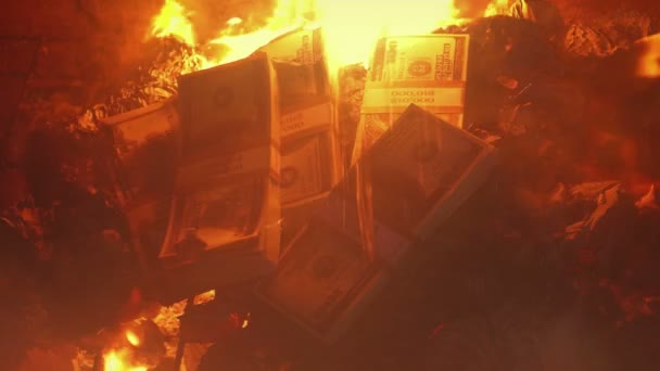 大量的金钱在火灾中燃烧 经济概念 — 图库视频影像