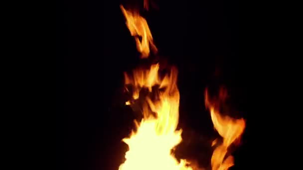 Brand Brinnande Natten Närbild — Stockvideo