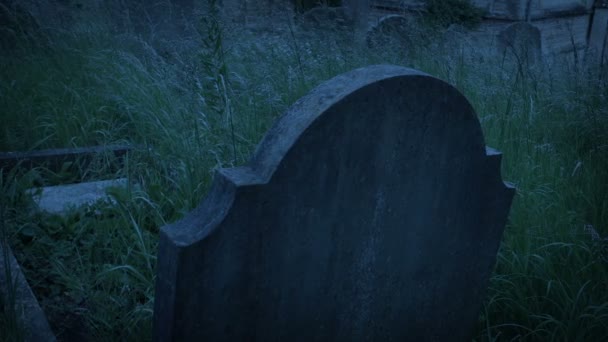 Grabstein Abend Auf Verwildertem Friedhof — Stockvideo