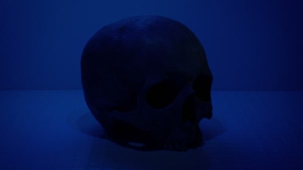 Old Skull Lit Laboratorium Zbliżenie — Wideo stockowe