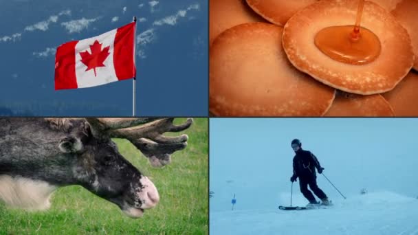 Canada Montage Met Vier Typische Scènes — Stockvideo