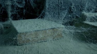 Örümcek ağları ve tozla kaplı eski bir kitap.