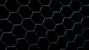 Pas Veren Tavuk Darbesi Çiti