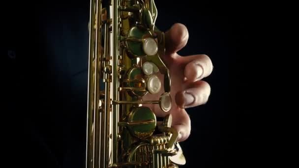 Saxofoon Speler Close Zijaanzicht — Stockvideo