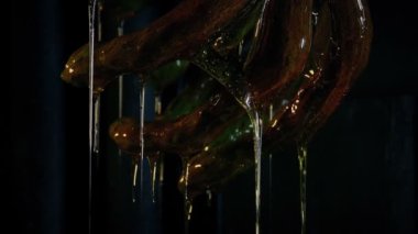 Slimy Alien Creature Hanging From Ceiling