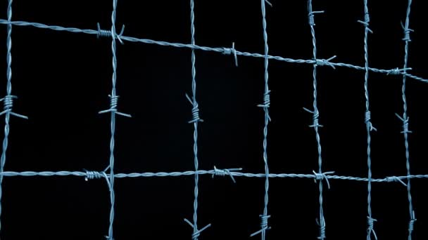 Strong Barbed Wire Grid Moving Shot — ストック動画