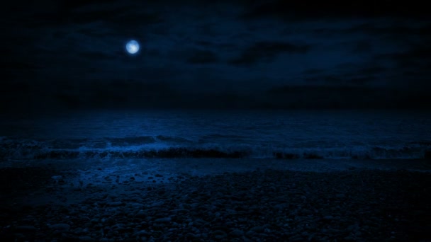 Månen Lyser Upp Havet Stranden — Stockvideo