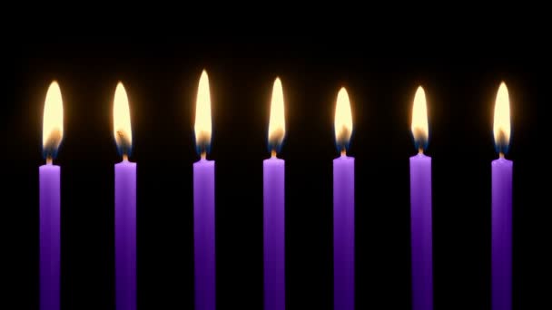 Velas Púrpuras Fila Ardiendo Oscuridad — Vídeos de Stock