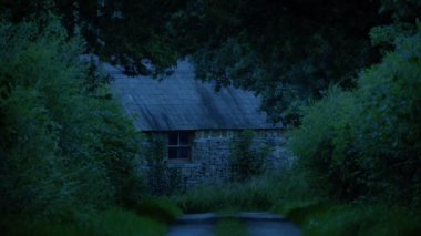 Akşamları yapraklı caddenin sonundaki ev.