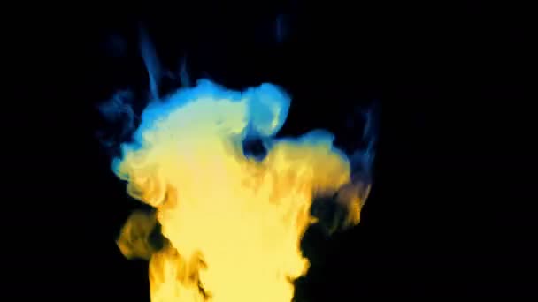 Magical Fire Burning Yellow Blue — Video Stock
