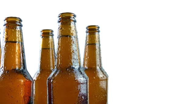 Beer Bottles Dripping Summer Day — Vídeos de Stock
