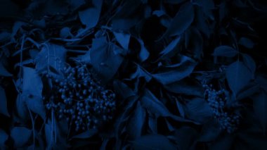 Jungle Plants At Night Circling Shot