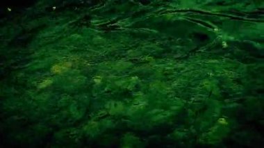 Gas And Toxic Waste Flow In Stream