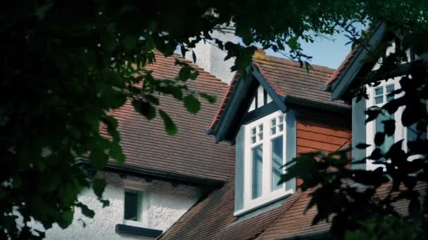 Dia Noite Janelas Telhado Casa Emolduradas Por Árvores — Vídeo de Stock