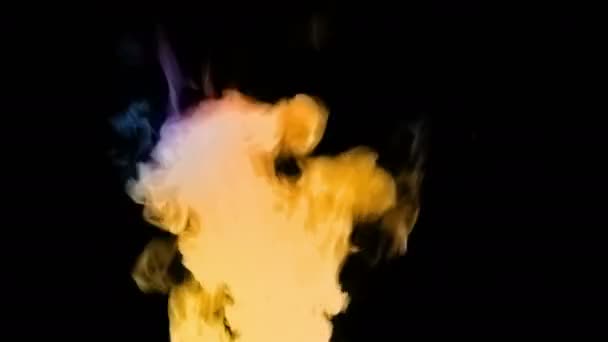 Magiczna Zmiana Koloru Ogień Płonie Nocy — Wideo stockowe