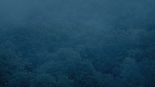 Bancos Niebla Sobre Bosque Atardecer — Vídeo de stock
