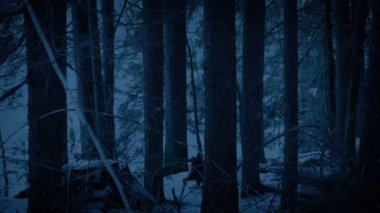 Karanlıkta Karlı Ormanda Yürüyen Adam