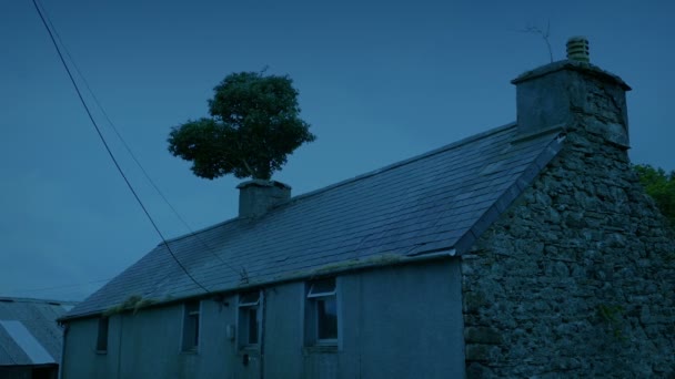 Casa Abandonada Con Árboles Creciendo Chimenea — Vídeo de stock