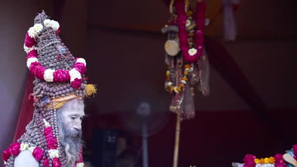 Los santos indios en su forma tradicional de Yog Mudra — Vídeos de Stock