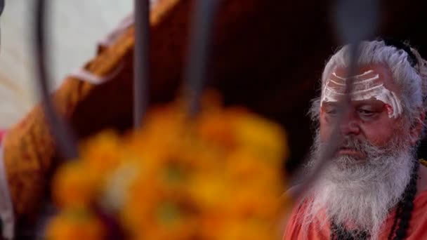 Los santos indios en su forma tradicional de Yog Mudra — Vídeos de Stock