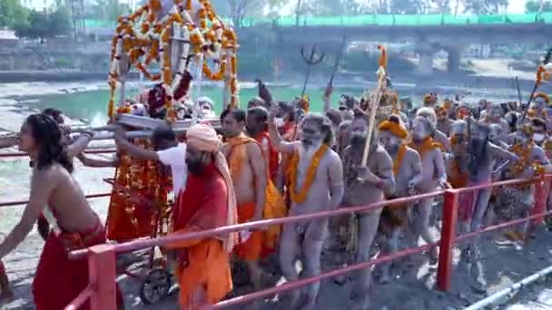 Hindistan 'daki en büyük dini festival olan Kumbh Mela, Haridwar India, Appleprores 422, Cinetone — Stok video