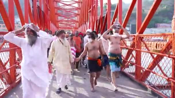 Indičtí svatí nebo sadhos na největším indickém shromáždění náboženského festivalu Kumbh Mela, Haridwar Indie, Appleprores 422, Cinetone — Stock video