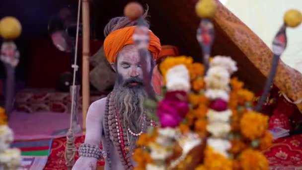Santi indiani nel loro modo tradizionale di Yog Mudra — Video Stock