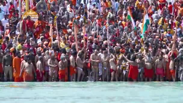 Kumbh Mela Haridwar India. Sadhus or Saints of Akharas worshipping Holy Ganges or Ganga river. Appleprores 422 Cinetone 60fps. — Stock Video