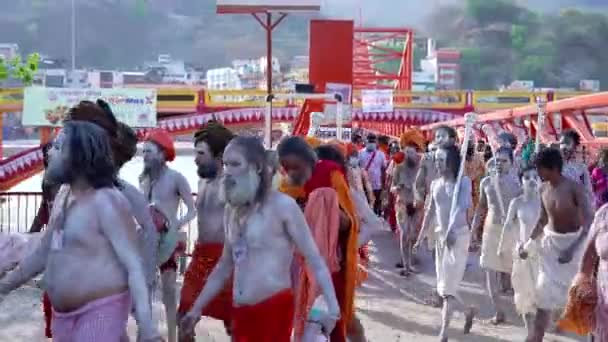 Santos indios o sadhus en la reunión religiosa más grande de la India Festival Kumbh Mela, Haridwar India, Appleprores 422, Cinetone — Vídeos de Stock