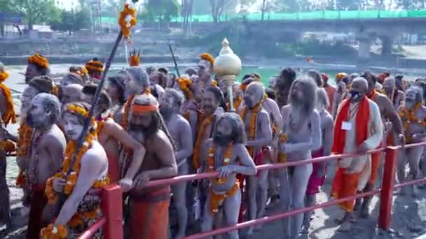 Indičtí svatí nebo sadhos na největším indickém shromáždění náboženského festivalu Kumbh Mela, Haridwar Indie, Appleprores 422, Cinetone — Stock video
