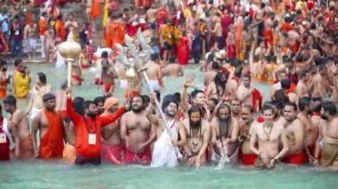 Ruhanilik ve İnanç Dalgıcı, Maha Kumbh 2021