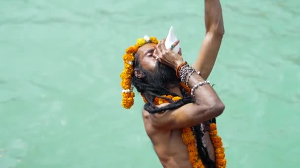 霊性と信仰のディップ, Maha Kumbh 2021 — ストック動画