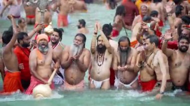 Ruhanilik ve İnanç Dalgıcı, Maha Kumbh 2021