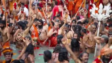 Ruhanilik ve İnanç Dalgıcı, Maha Kumbh 2021