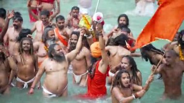 Ruhanilik ve İnanç Dalgıcı, Maha Kumbh 2021