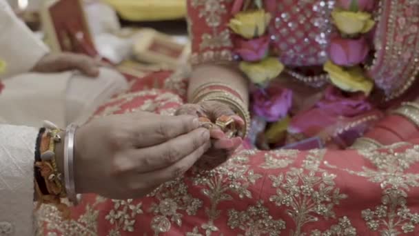 Ringceremoni på traditionellt sätt vid en indisk bröllop — Stockvideo