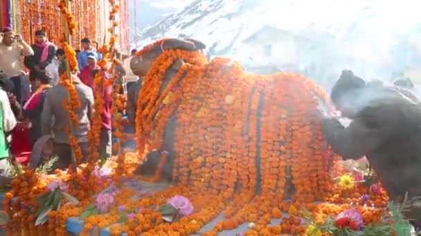 Dehradun Uttarakhand India April 2020 印度教朝圣者在Kedarnath圣殿 崇拜印度教湿婆的车神南迪 并接受他的祝福 — 图库视频影像