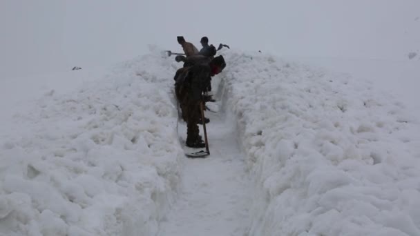 Rudraprayag Uttarakhand India January 2022 People Removing Thick Layer Snow — Stock Video